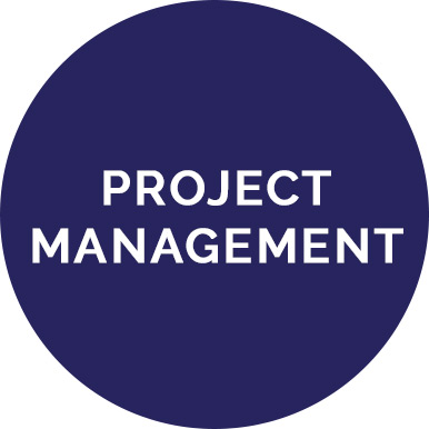 controls project management